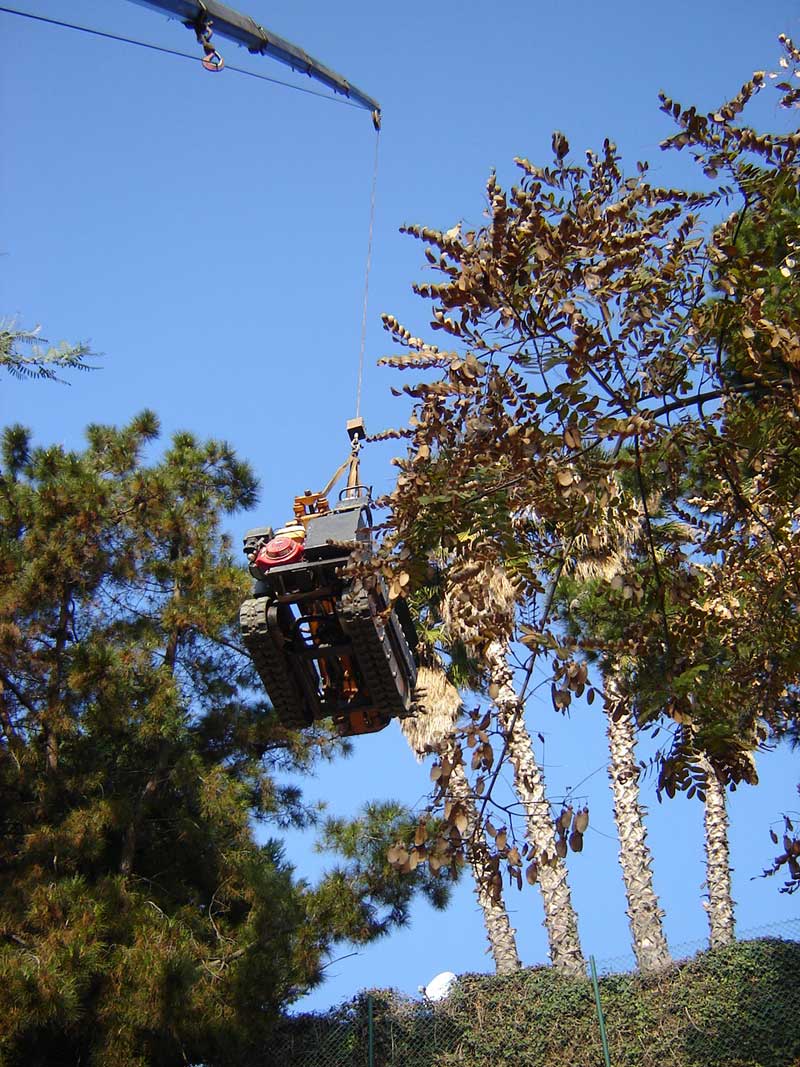 Grua aixecant maquinària en una obra urbana entre arbres